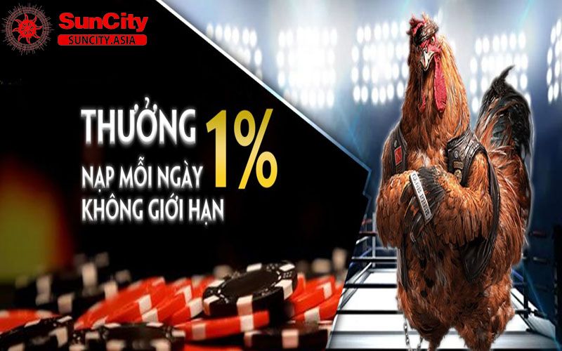 Nạp tiền tại Suncity để nhận thưởng Nạp tiền tại Suncity để nhận thưởng