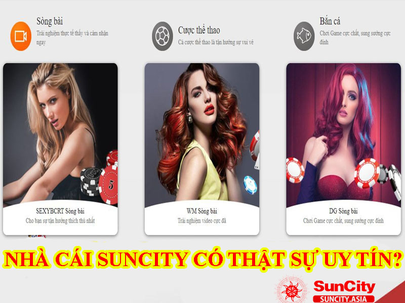nha-cai-suncity
