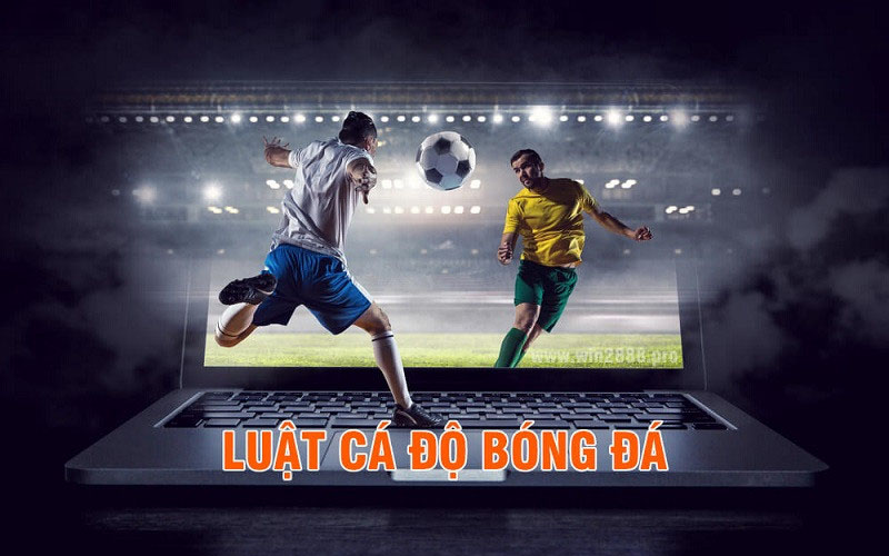 ca-cuoc-bong-da-3
