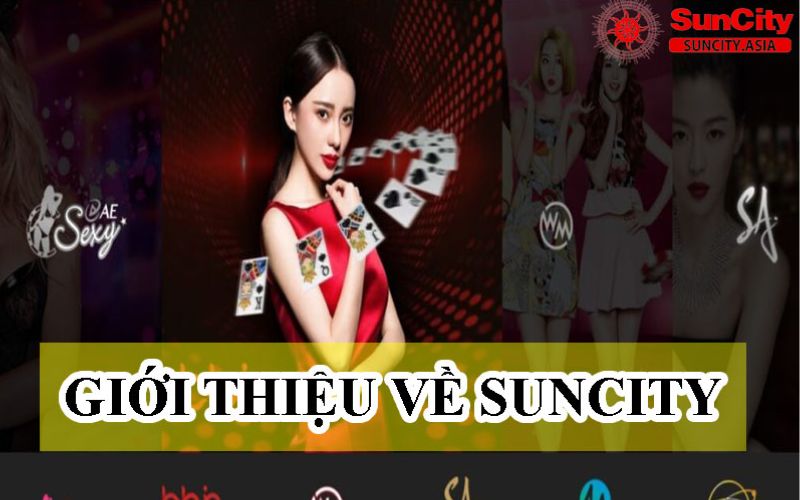 Giới thiệu về Suncity
