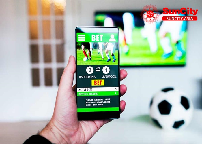 Cách làm giàu từ cá độ bóng đá - Làm giàu bằng cá độ bóng đá có nên không?
