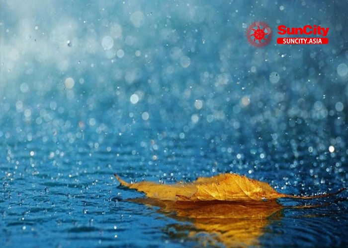 Nằm mơ thấy mưa có ý nghĩa gì